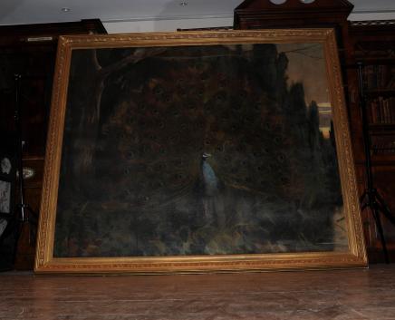 6英尺XL油画孔雀鸟镀金相框英语艺术1820