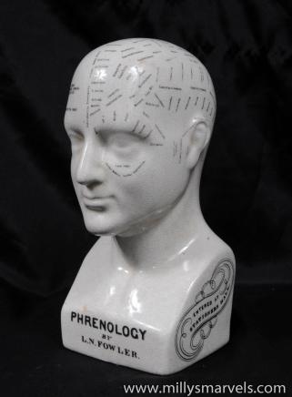 Ceramic Medical Phrenology Head by Fowler