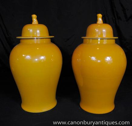 Pair Chinese Pottery Ginger Jars Vases Urns Foo Dogs Porcelain 