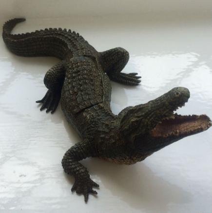 Bronze Crocodile with Lady Inside