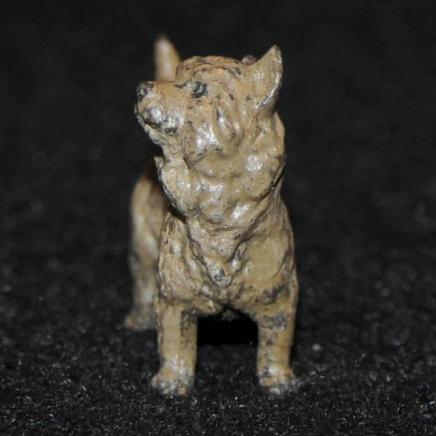 Miniature Austrian Cold Painted Dog