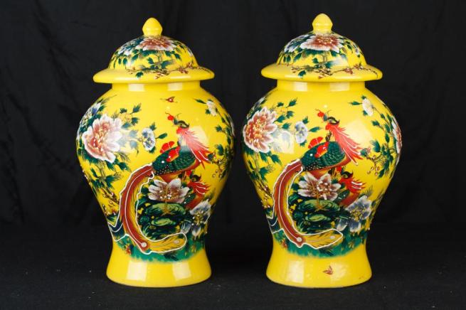 Pair Chinese Ming Porcelain Ginger Vases Urns Temple Jars Pheasant