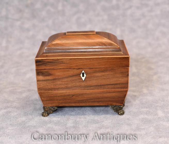 Antique Georgian Tea Caddy Sarcophagus Form